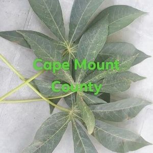 Meet your Posher, Samuel